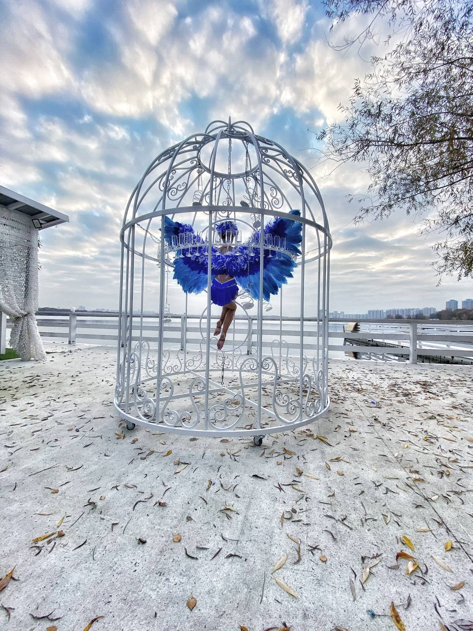 SkyBar Клетка